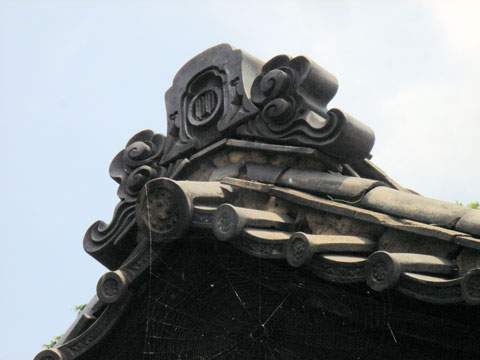 R0018491.jpg