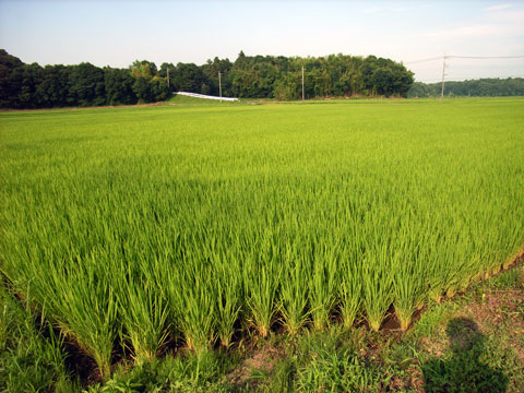R0018558.jpg