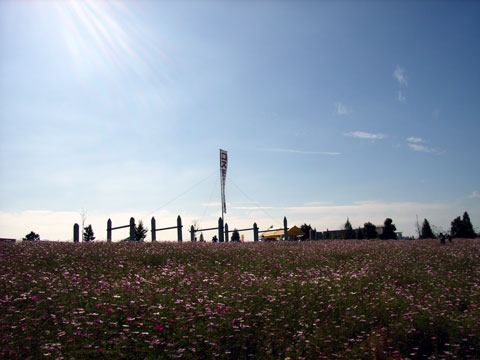 R0019219.jpg