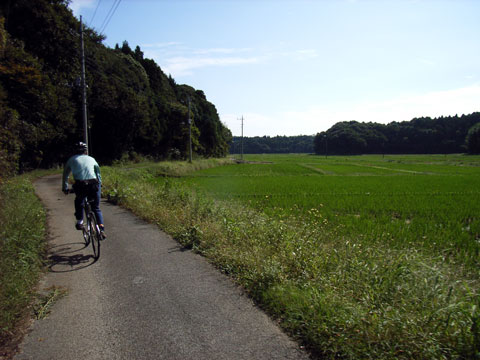 R0019241.jpg