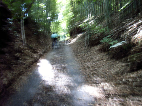 R0019246.jpg