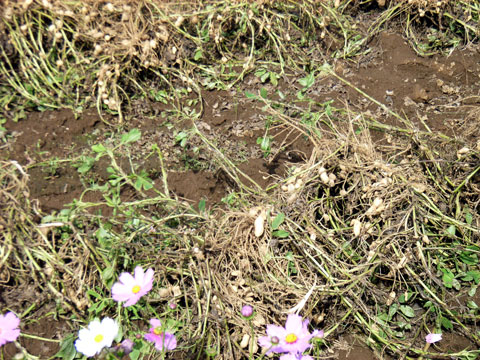 R0019256.jpg