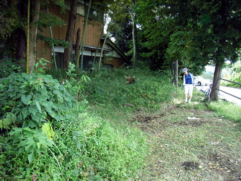 R0019301.jpg