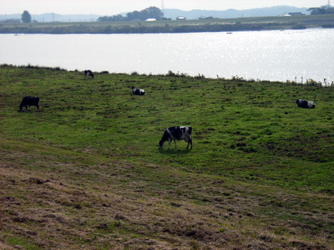 R0019460.jpg