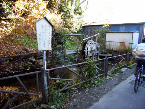 R0019805.jpg