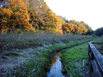 R0019826.jpg