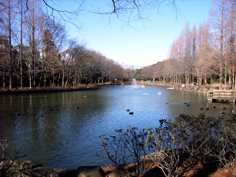 R0020177.jpg