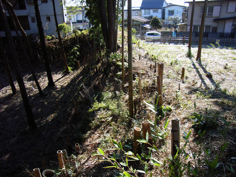 R0020194.jpg
